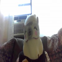 User Pic